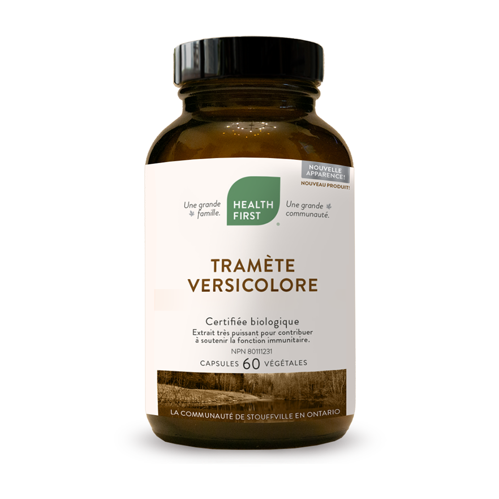 Tramète Versicolore